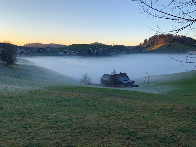 Placeholder Select Dynamic field